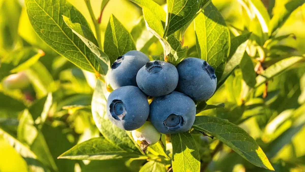 Balancing Antioxidants: Can You Have Too Much of a Good Thing?