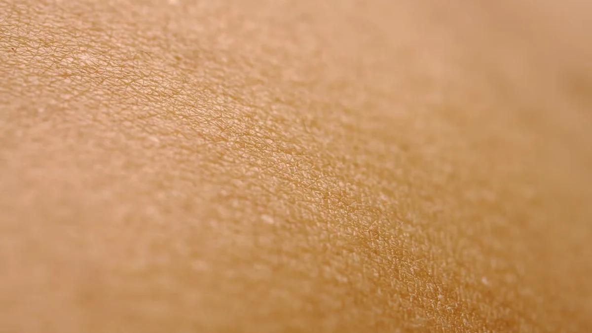 The Skin Barrier Reset: A Medical Guide to Healing Skin